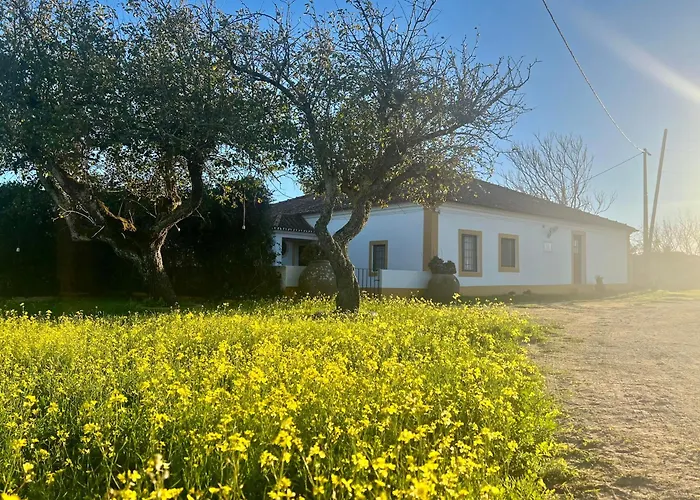 Qta Casa Seleiras - Guest House