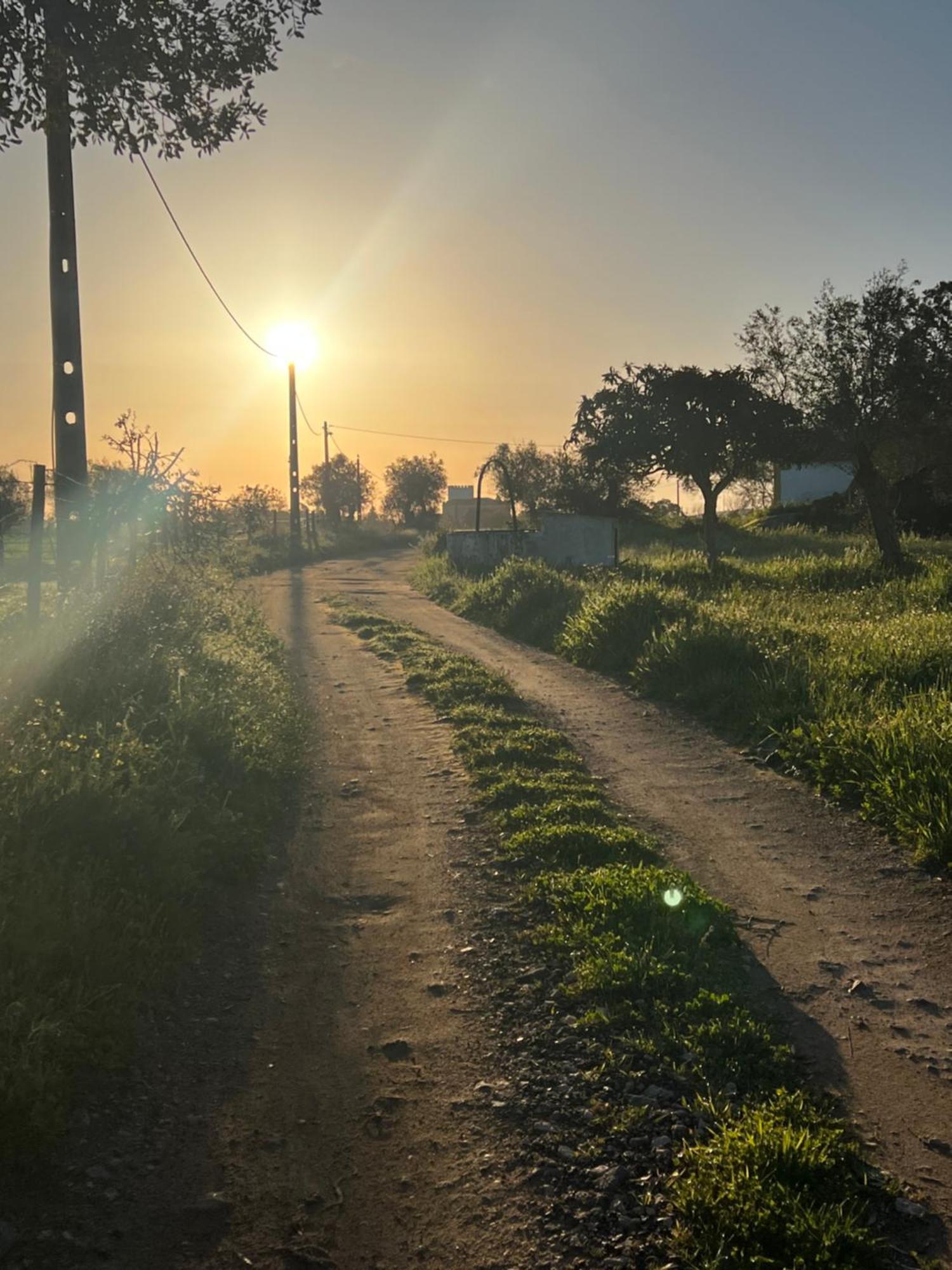 Qta Casa Seleiras - *