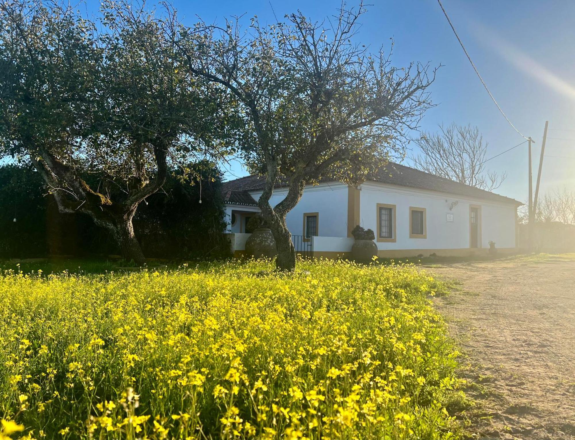 Qta Casa Seleiras - * Evora