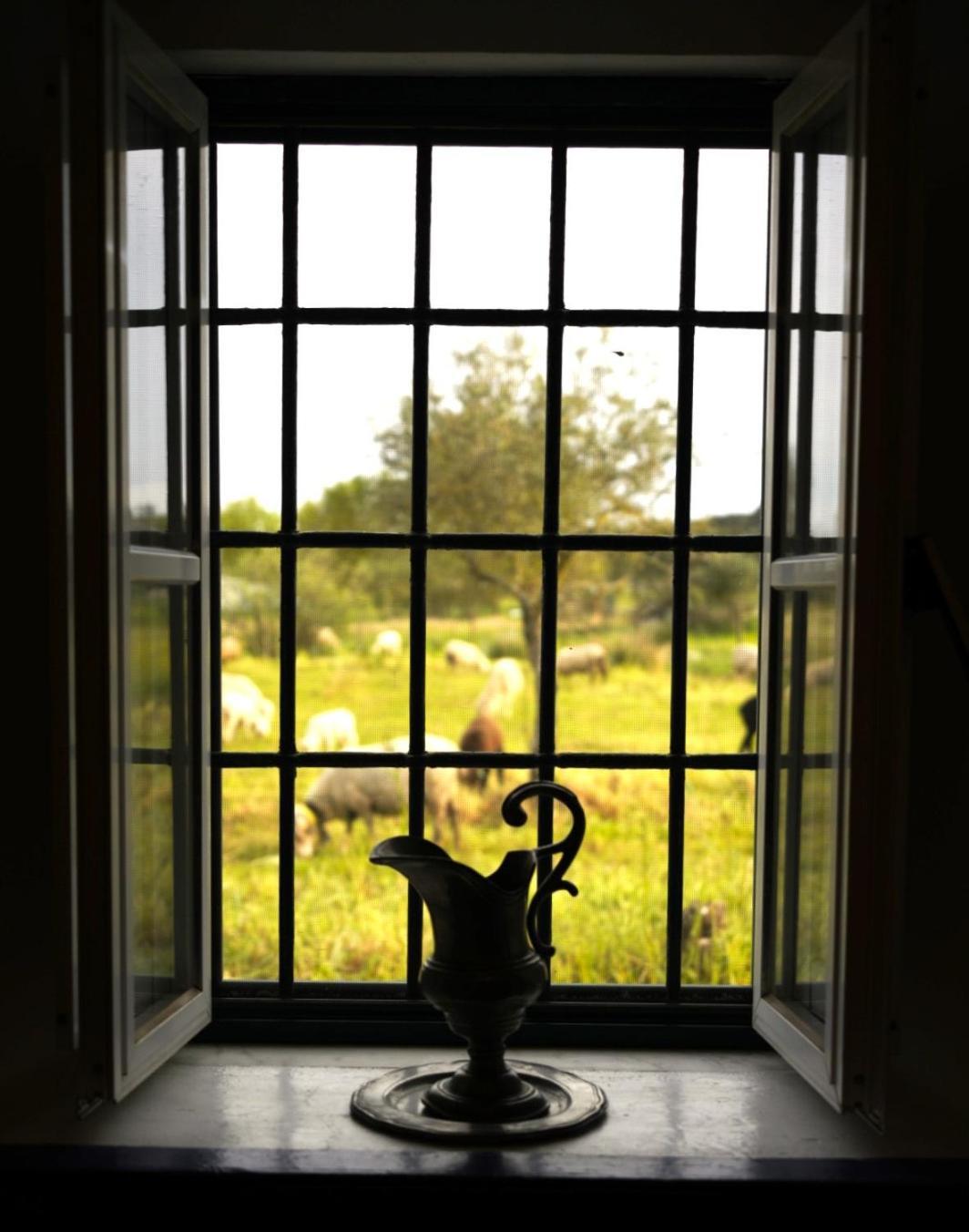 Country house Qta Casa Seleiras - Evora