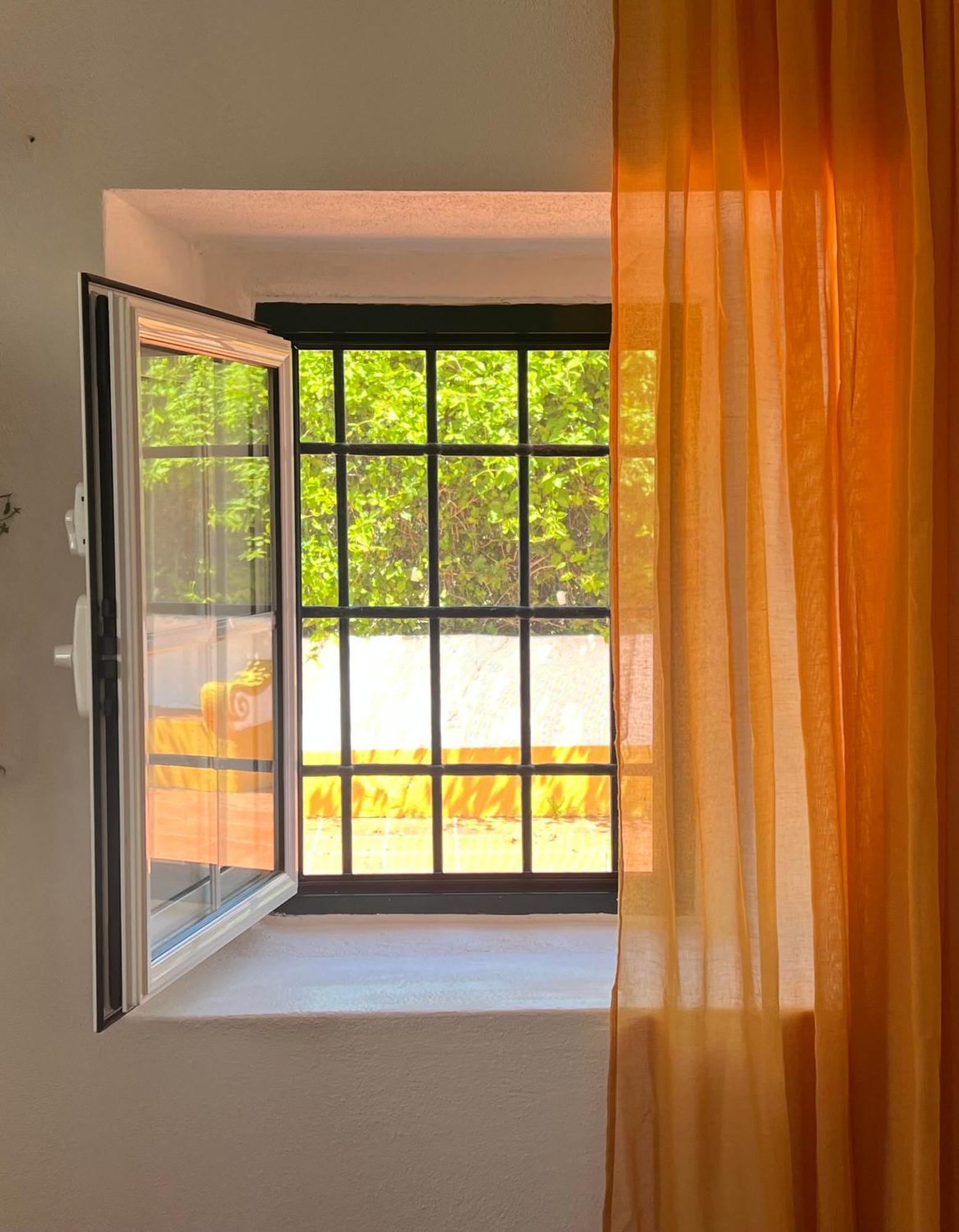 Qta Casa Seleiras -